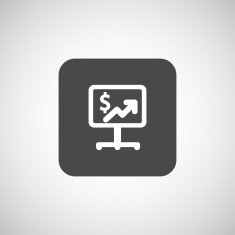 High-quality laptop screen with the Dollar Economy concept N4