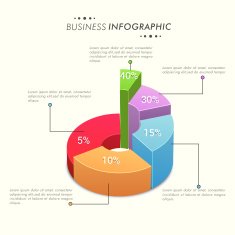 3D Infographic pie chart for business