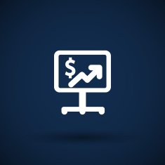 High-quality laptop screen with the Dollar Economy concept N7