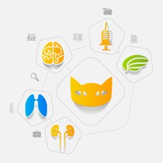 Veterinary sticker infographic N23