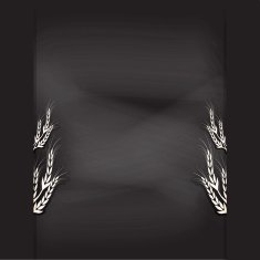chalkboard design illustration background N2