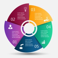 Vector circle infographic N51
