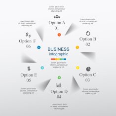 Vector infographic N174