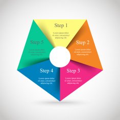 Vector infographic N181
