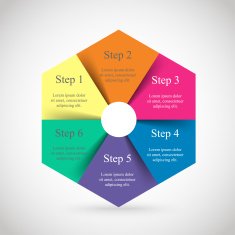 Vector infographic N182