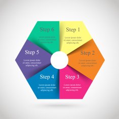 Vector infographic N183