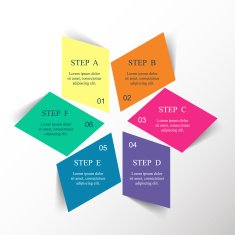 Vector infographic N186