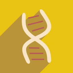 Flat with shadow icon and mobile application genes