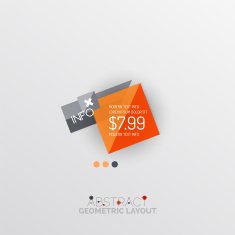 Glossy paper style geometric abstract infographic design N22