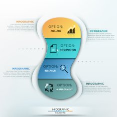 Modern infographics options banner N312