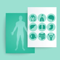 Template of medical banner N2