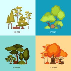Forest Design Concept