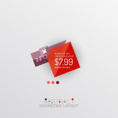 Glossy paper style geometric abstract infographic design N31