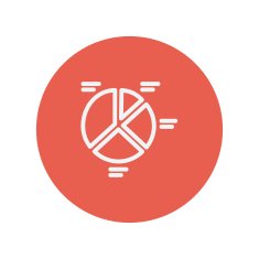 Pie chart thin line icon N2