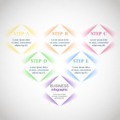 Vector infographic N217