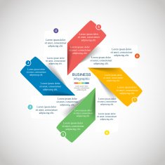 Vector infographic N220