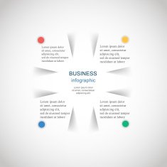 Vector infographic N221