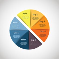 Vector infographic N223