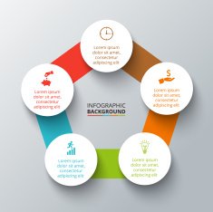 Vector circle infographic N53
