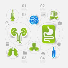 medicine sticker infographic N13