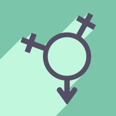 Flat with shadow icon and mobile application equality of the