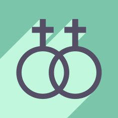 Flat with shadow icon and mobile application equality of the N2