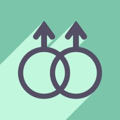 Flat with shadow icon and mobile application equality of the N5