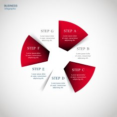 Vector infographic N244