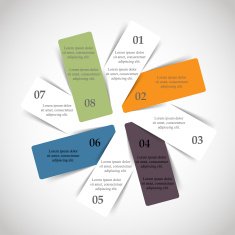 Vector infographic N246