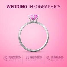 Wedding infographics N3