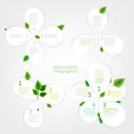 Paper Leaves infographic 01 A