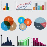 Infographic Elements business diagrams and graphics N2