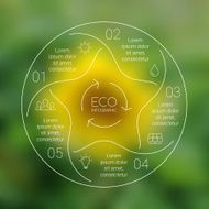 Linear circle eco nature infographic Ecology template Sunflower vector background