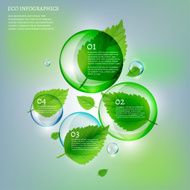 Infographics Leaves Bubble copy N2