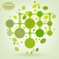 Leaves infographic N4