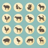 Farm Animals N41