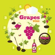 Vector garden illustration in flat style N4