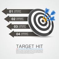 Graphic information target with darts