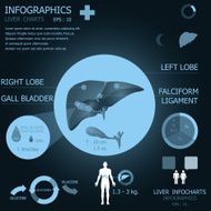 Liver Infographics Infocharts N2