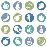 Vector Set of Fruit Icons N4