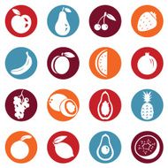 Vector Set of Fruit Icons N5