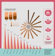 Infographic Vector illustration N2