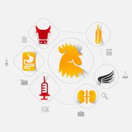 Veterinary sticker infographic N26