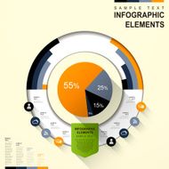 abstract pie chart infographics N6