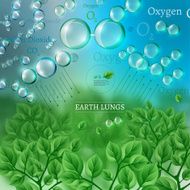03 Infographics Bio Tree
