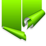 Green sticker with curled up edge N2