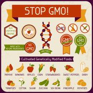 Information Poster Stop GMO!