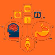 medicine flat infographic N20