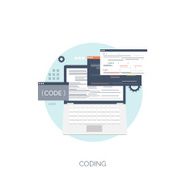 Vector illustration Flat computing background Programming coding Web development and N23