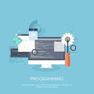 Vector illustration Flat computing background Programming coding Web development and N30